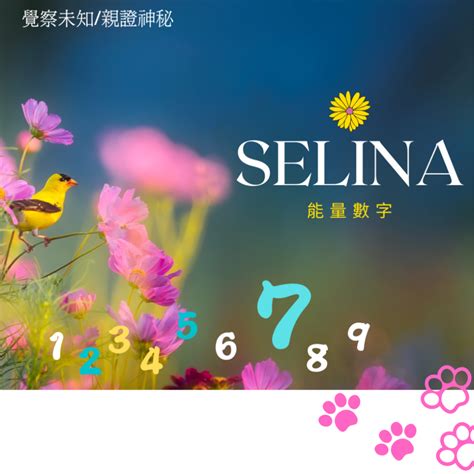 能量數字學|selinaonline – 了解能量運作模式與數字認識自己掌握能量創造喜。